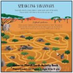 Usborne Planet Earth Activity Book With Puzzles and Activities