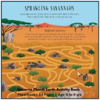 Usborne Planet Earth Activity Book With Puzzles and Activities