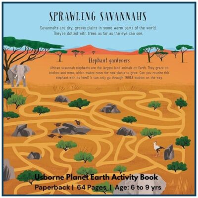 Usborne Planet Earth Activity Book With Puzzles and Activities