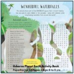 Usborne Planet Earth Activity Book With Puzzles and Activities