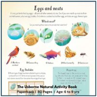 Usborne Nature Activity Book | For Kids Age 6+ With quizzes about woodland creatures, and different habitats, animals and plants