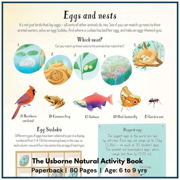 Usborne Nature Activity Book | For Kids Age 6+ With quizzes about woodland creatures, and different habitats, animals and plants
