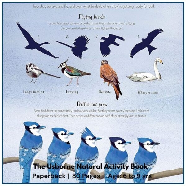 Usborne Nature Activity Book | For Kids Age 6+ With quizzes about woodland creatures, and different habitats, animals and plants