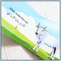 Touch and Feel Books For Toddlers